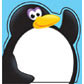 Picture Note Pads