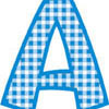 Blue Gingham 2